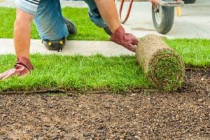 Turf Sunshine Coast