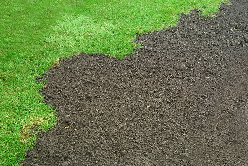 Our Sunshine Coast Turf reduces soil erosion