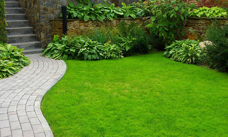 Green grass alongside a garden path in a landscape