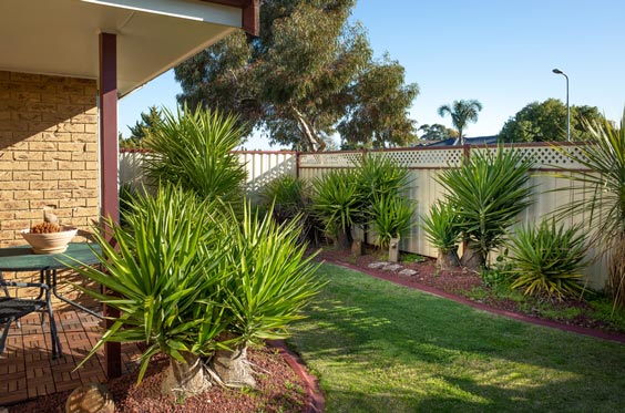 Landscape Design on a Sunshine Coast front yard garden