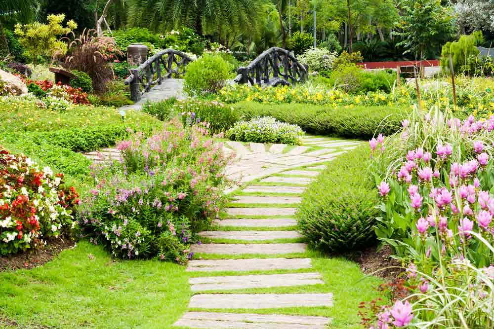 Landscaping design in a garden on the Sunshine Coast