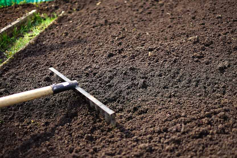 Preparing Soil For Turf Installation