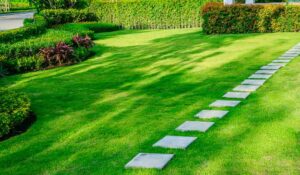 Garden Landscape Design With Bright Green Lawns