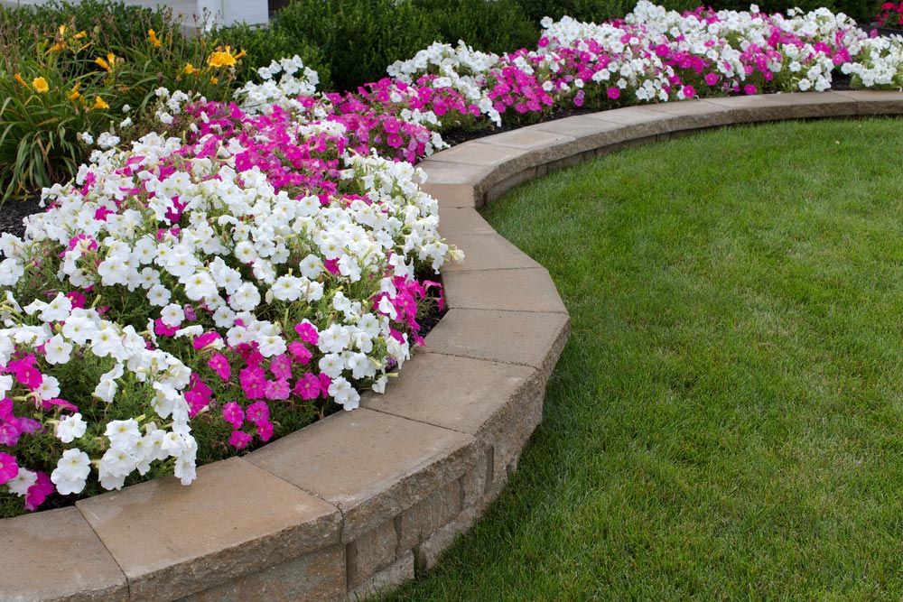 Garden With Stone Edging