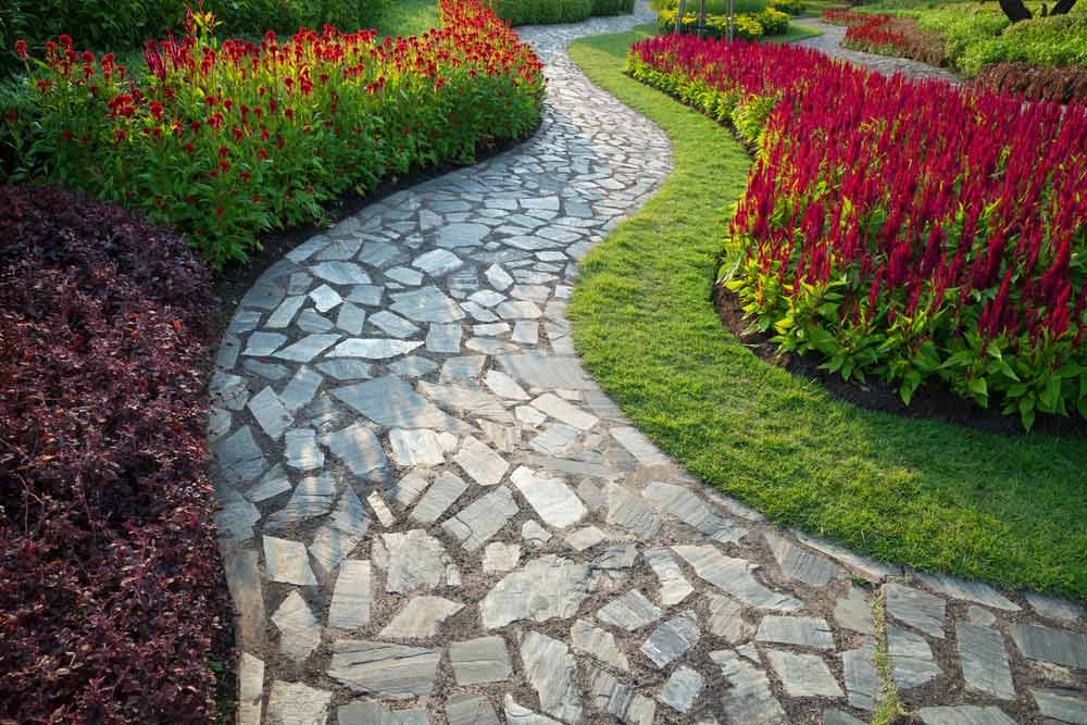 Red Flowers Along Stone Garden Path