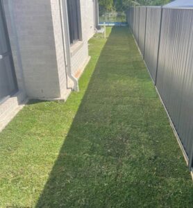 Turf Around the Residential House