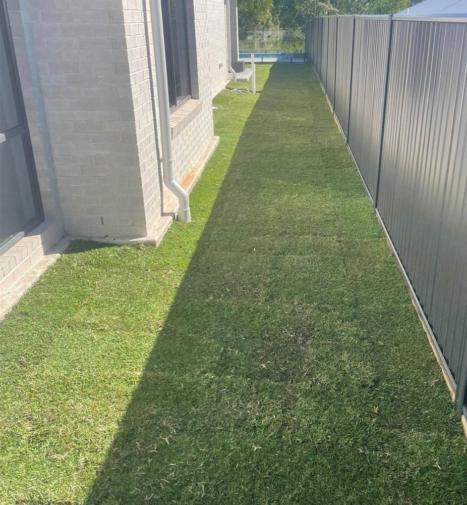 Turf Around the Residential House