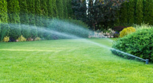 Watering Lawn In Sunshine Coast